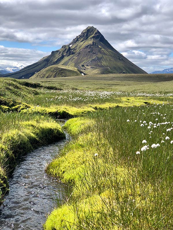 Fjallagarpar Mountaineers