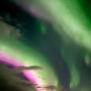Northern Lights Tours with Backyard Iceland