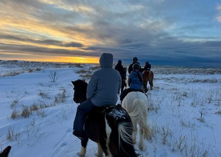 Horse riding & Stable Visit Tours Horse riding & Stable Visit Tours