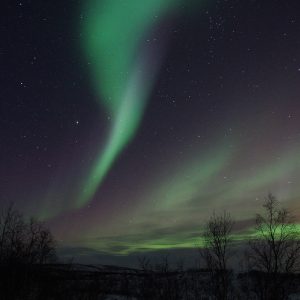 Northern Lights Tours with Backyard Iceland